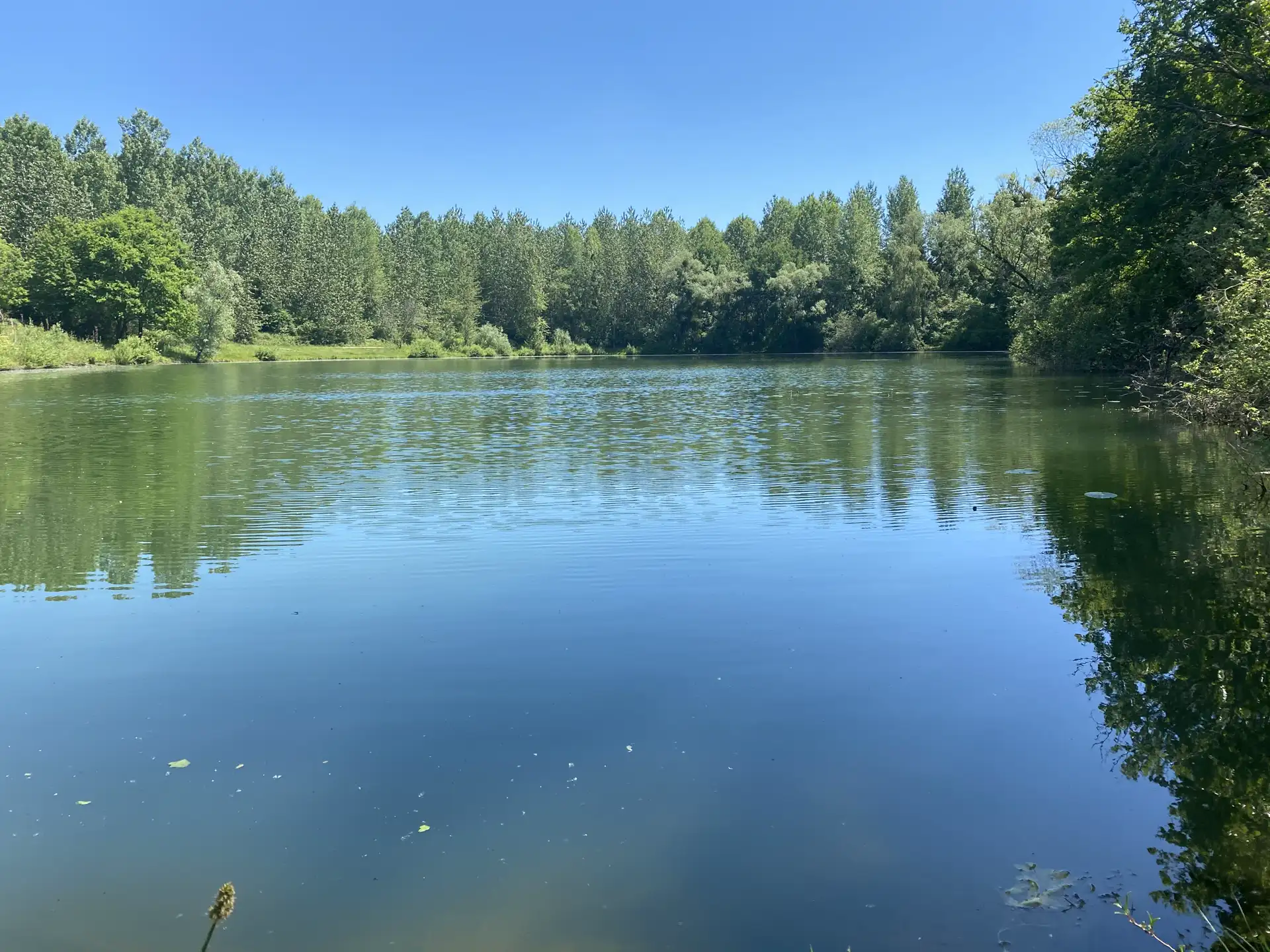 You are currently viewing Règlement de pêche des étangs du Gaenzeweide