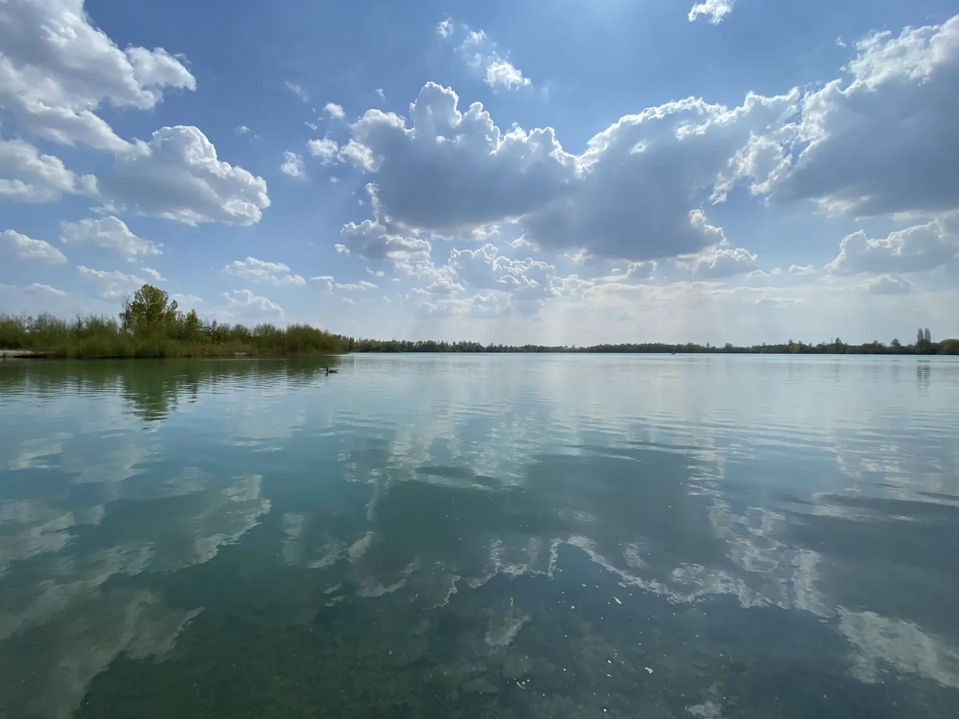 Lire la suite à propos de l’article Règlement de pêche de la gravière du Weiler