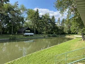 Lire la suite à propos de l’article Matinées de pêche